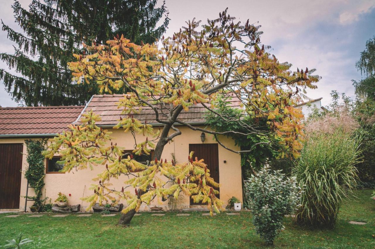 Pannonia Apartment Göd Eksteriør billede